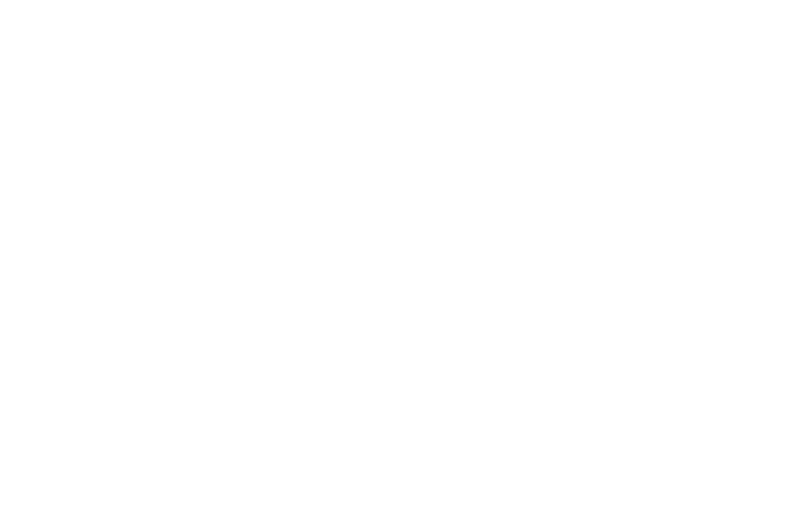 nacion logo