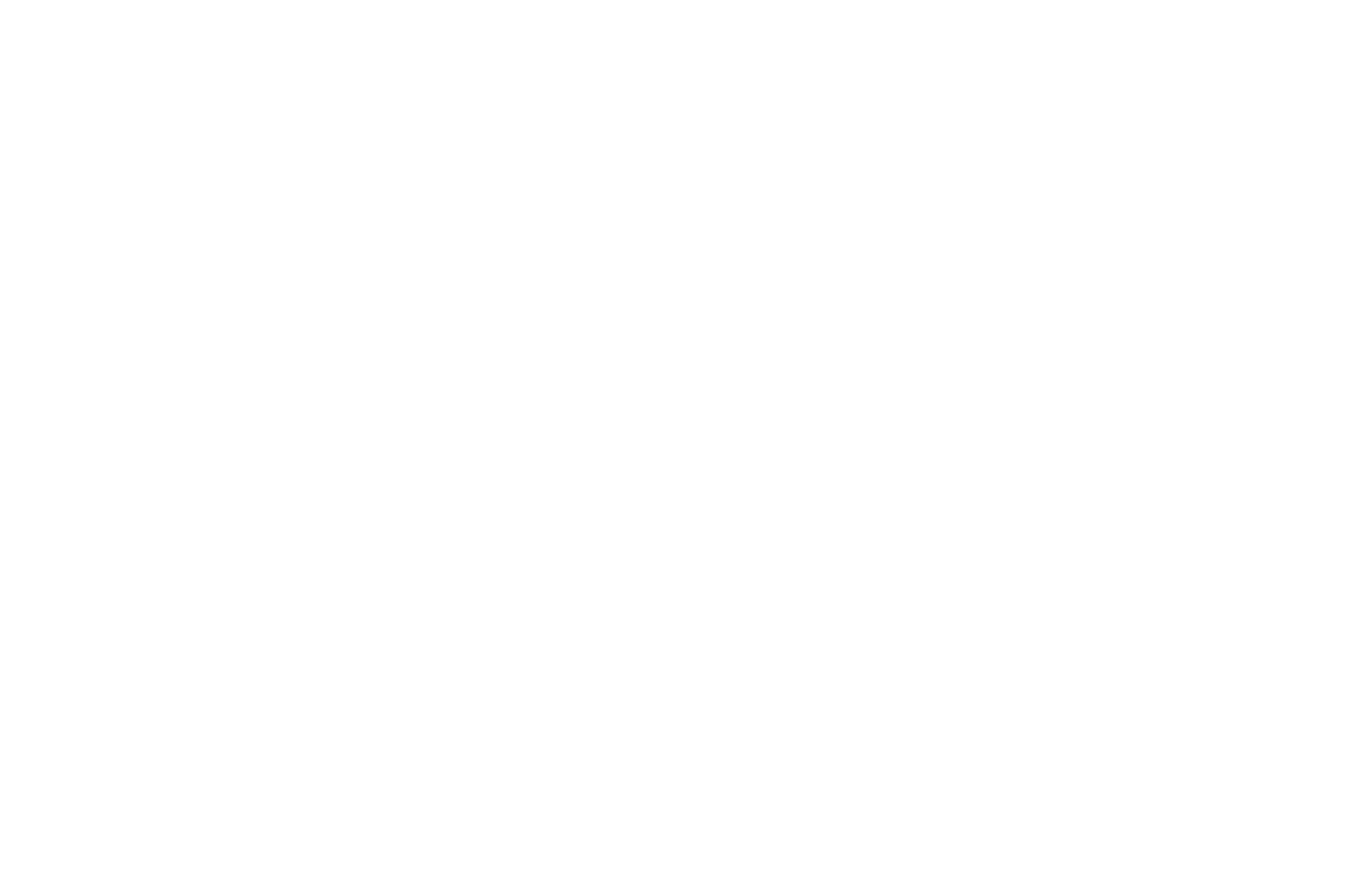 sancor logo