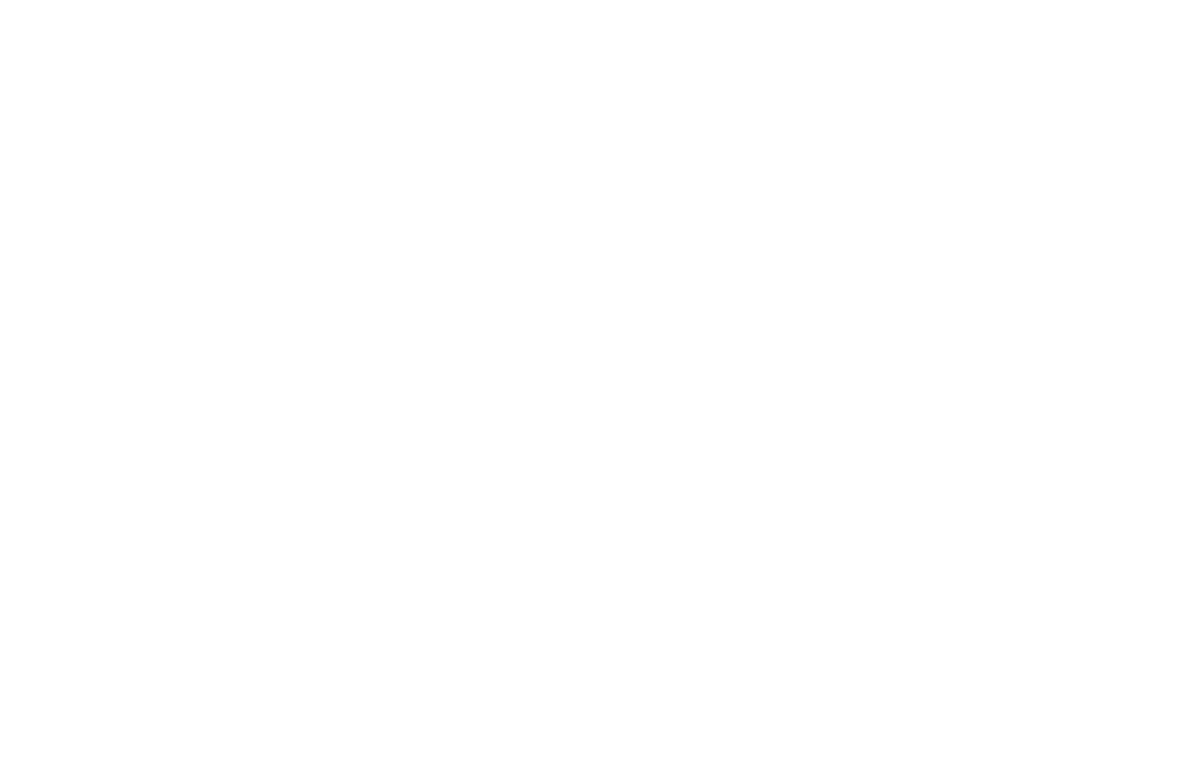 logo zurich